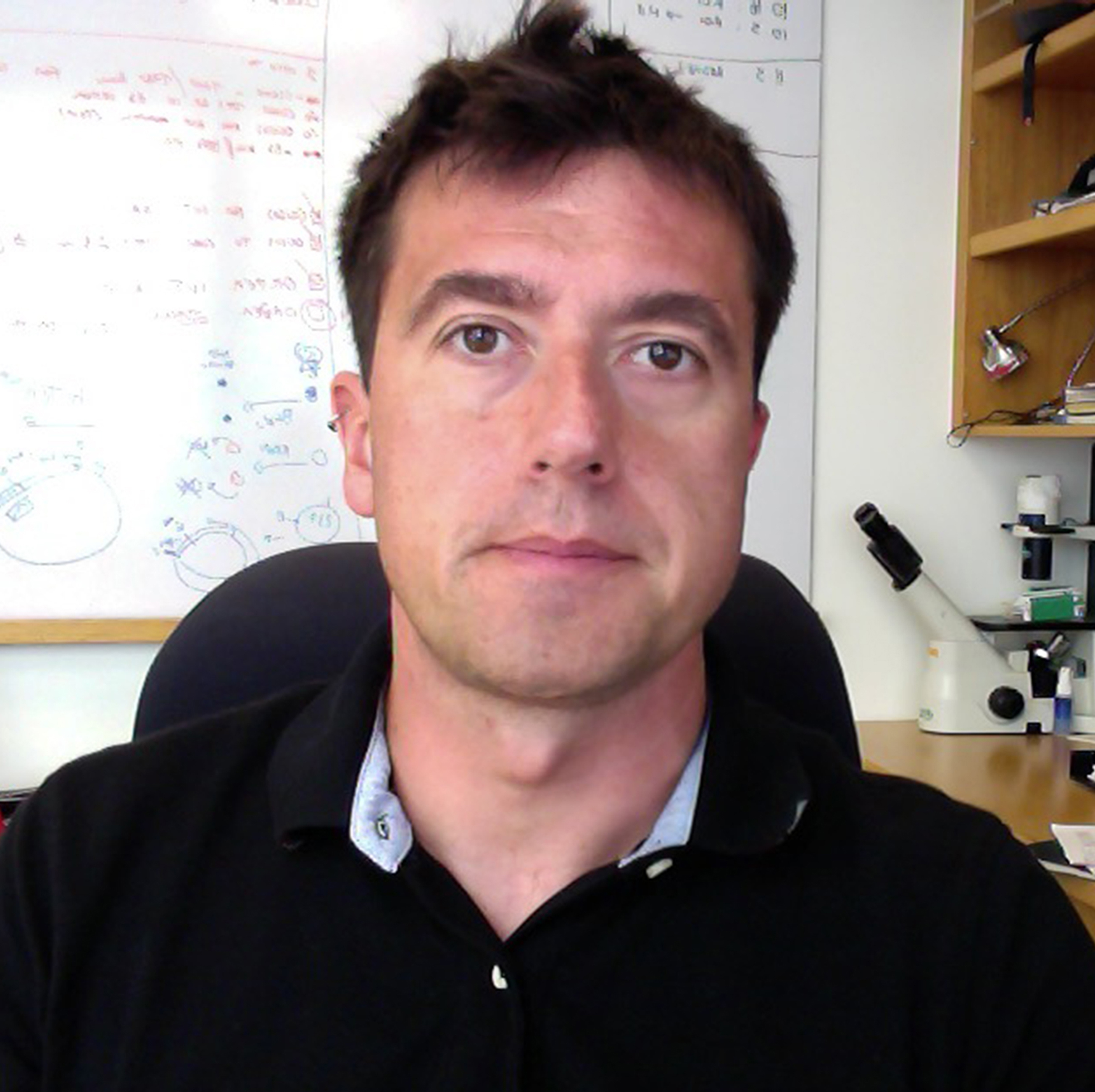 Eros Lazzerini Denchi