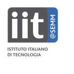 IIT