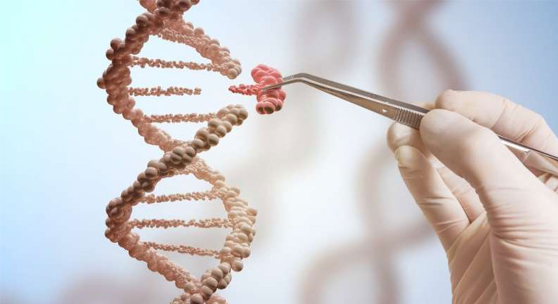 CRISPR-Cas Technology
