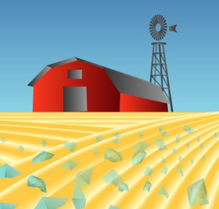 Crystal growth inspection