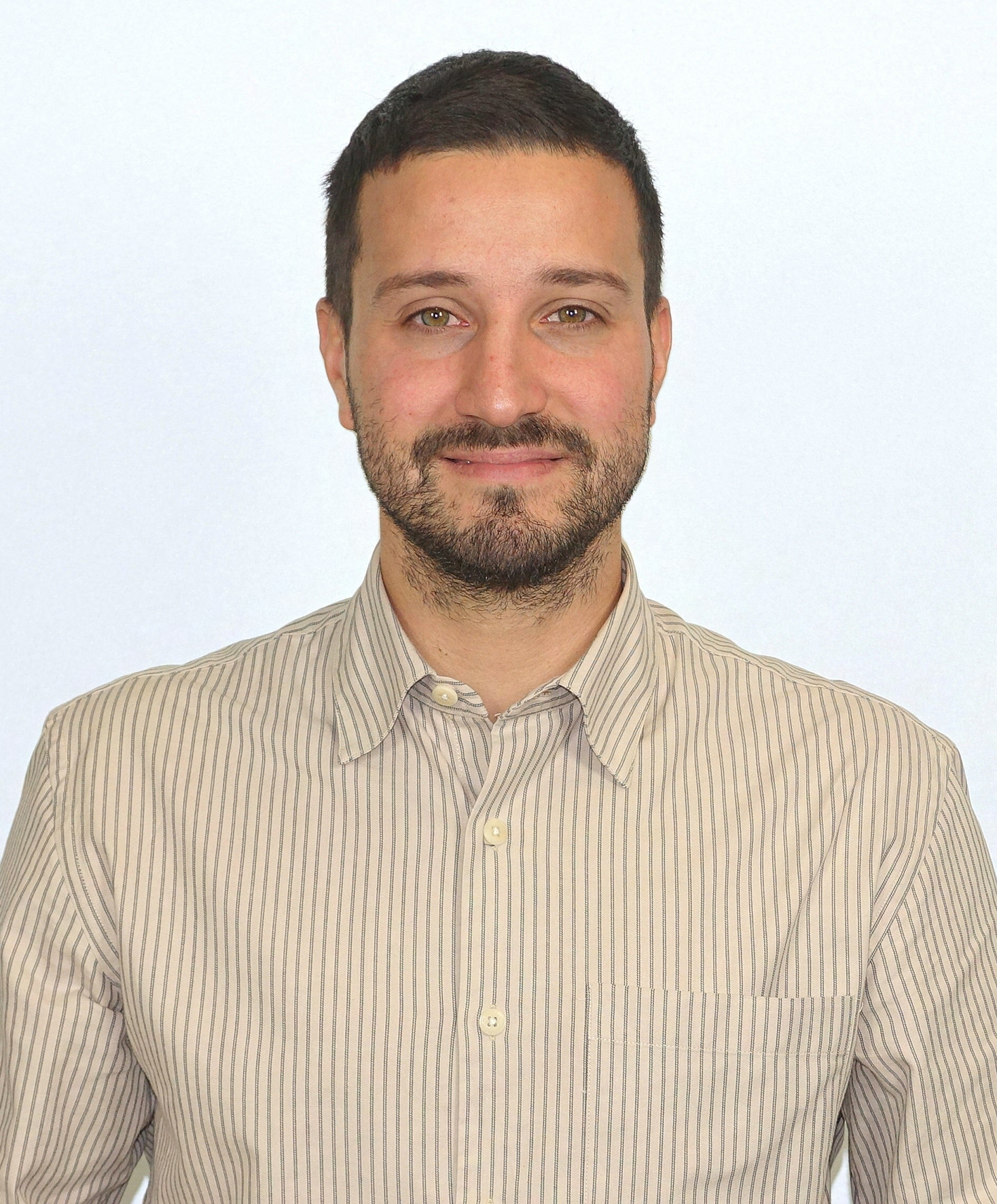 Lorenzo Domizi
