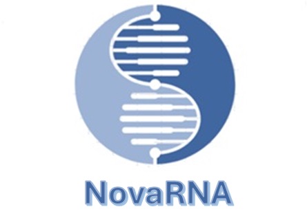 NovaRNA, selected as 1st, participates in the PerfeTTO TT Accelerator!