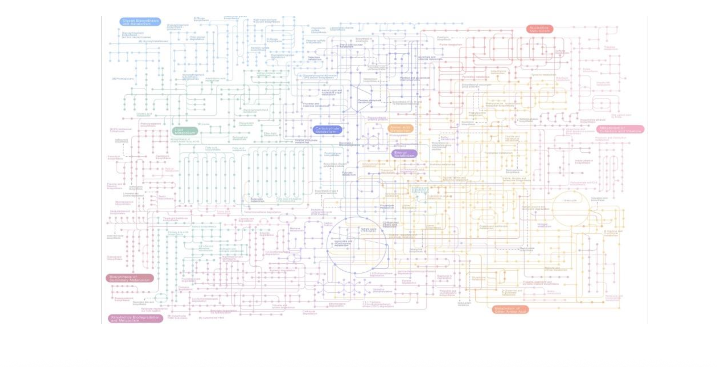 AVVISO PROCEDURA DI SELEZIONE PER L’ASSEGNAZIONE DI UNA BORSA DI RICERCA (Ref.2026-04-NM/20)